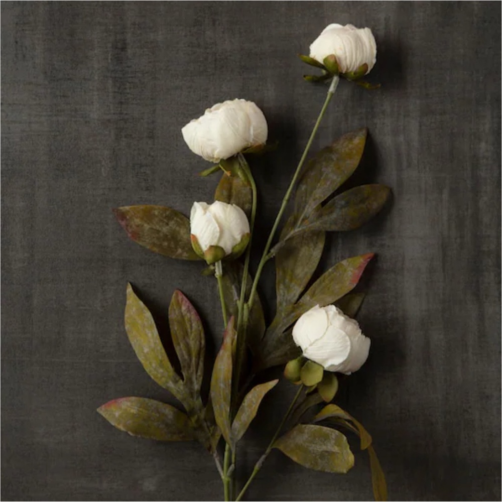 Cream Peony by Ashland (Set of 5)